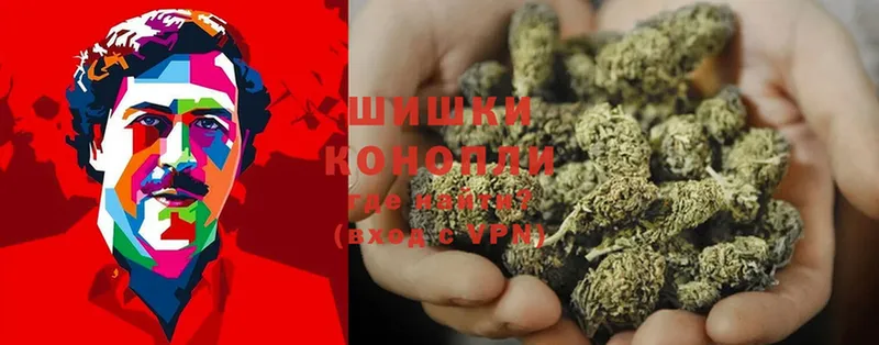 Шишки марихуана THC 21%  MEGA как войти  Удомля 